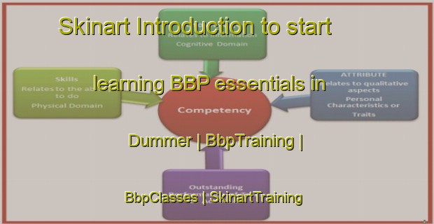 Skinart Introduction to start learning BBP essentials in Dummer | BbpTraining | BbpClasses | SkinartTraining-United States